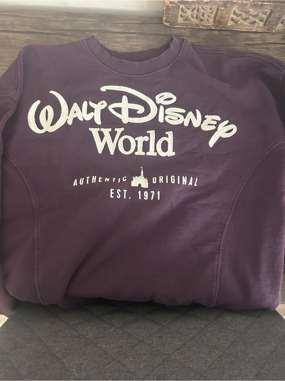 Disney Pullover Sweatshirt in Plum with White Embroidery